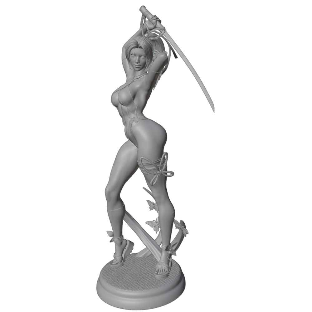 1/24 Female 	Warrior Resin Mod - 3D Printing For Dummies ulasan dan harga
